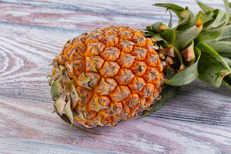 Fresh whole tropical exotick pineapple fruit