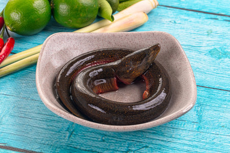 Fresh raw gourmet eel fish for cooking
