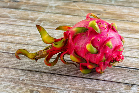 Tropical exotic sweet dragon fruit pitahayaの写真素材
