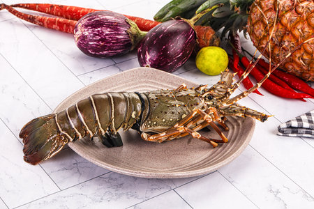 Raw wild fresh spiny lobster for cookingの写真素材