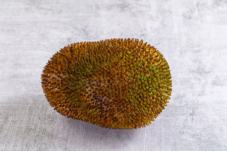 Whole tropical exotic ripe sweet jackfruit
