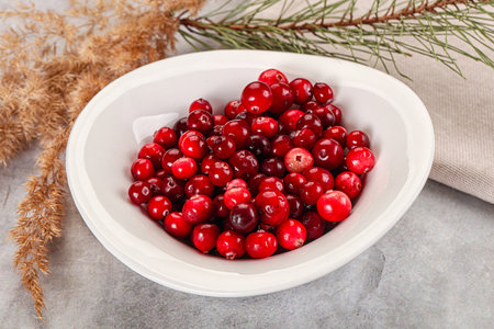 Ripe sweet sour wild cranberry heap