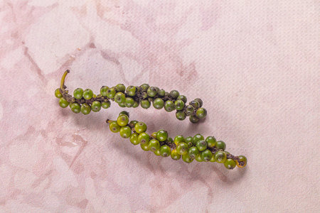 Ripe green pepper corn branch for cookingの写真素材