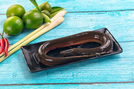 Fresh raw eel fish for cooking