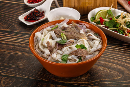 Vietnamese Pho Bo soup with beef, noodles, cilantro and spices
