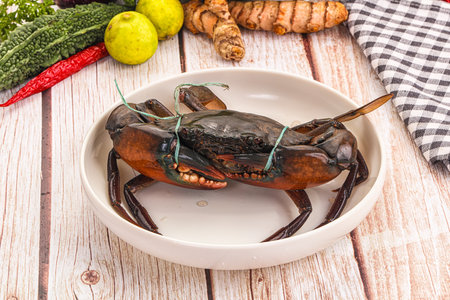 Gourmet Wild raw crab for cookingの写真素材