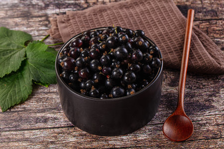 Sweet juicy ripe Black current berriesの写真素材