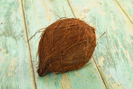Tropical exotic natural brown haired coconut