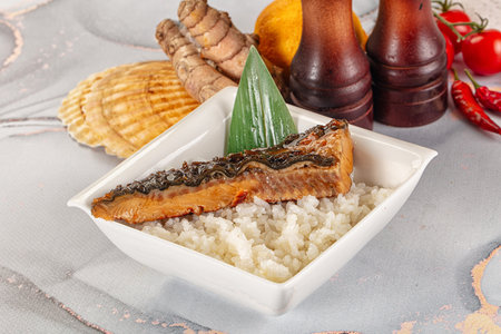 Smoked eel in unagi sauce and steamed riceの写真素材