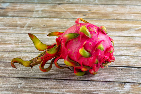 Tropical exotic sweet dragon fruit pitahayaの写真素材