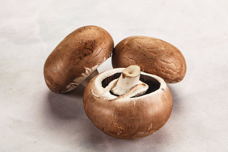 Raw brown champignon mushroom for cookingの写真素材