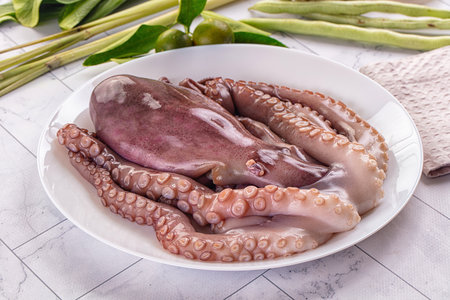 Gourmet luxury raw wild octopus for cookingの写真素材