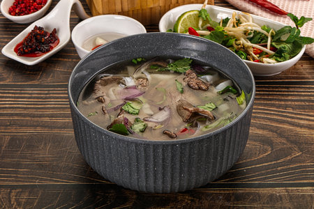 Vietnamese Pho Bo soup with beef, noodles, cilantro and spices
