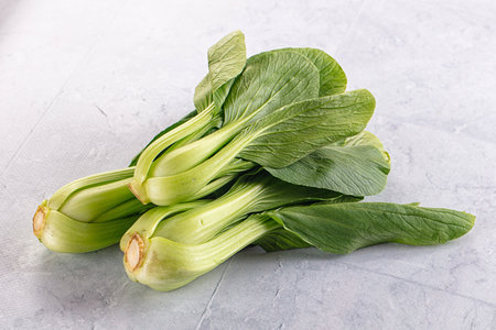 Organic raw green Bok Choy cabbageの写真素材