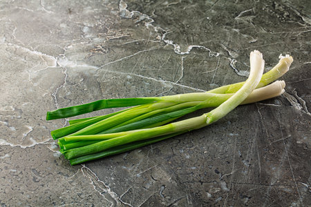 Young fresh juicy spring green onionの写真素材