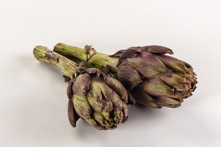 Organic food - Ripe raw green artichoke flowerの写真素材