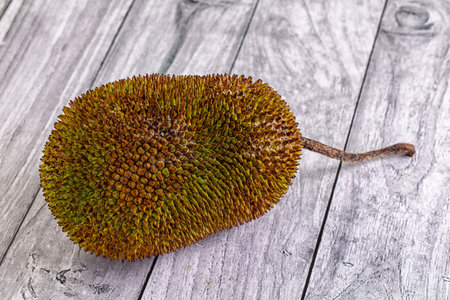 Whole tropical exotic ripe sweet jackfruit