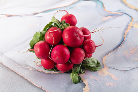 Raw fresh ripe radish root heapの写真素材