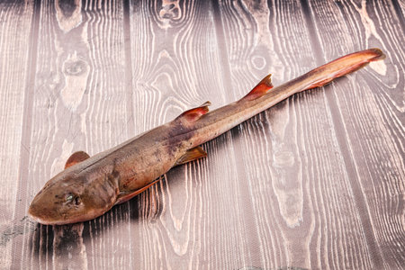 Raw fresh Indian catshark for cooking