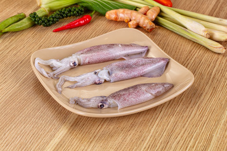 Raw fresh young calamari or squid for cooking