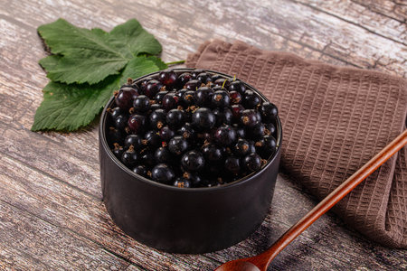 Sweet juicy ripe Black current berriesの写真素材