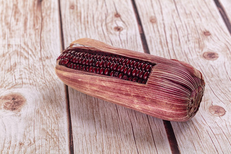 Organic natural Black ripe sweet cornの写真素材