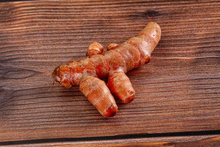 Raw fresh natural turmeric - curcuma roots