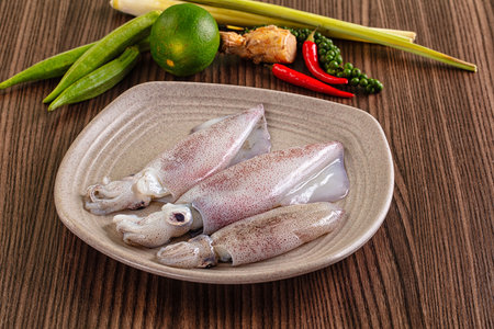 Raw wild fresh calamari for cooking