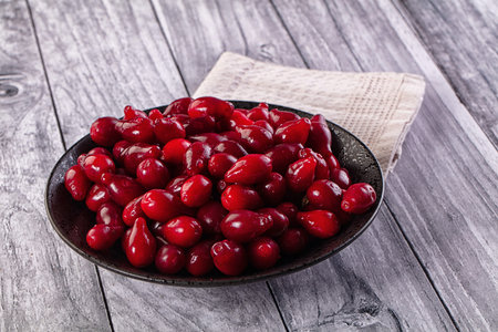 Red ripe sweet juicy dogwood berriesの写真素材