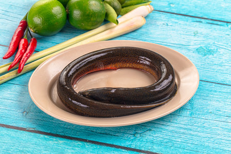 Fresh raw gourmet eel fish for cooking