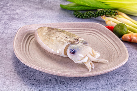 Raw fresh brown wild cuttlefish mollusc