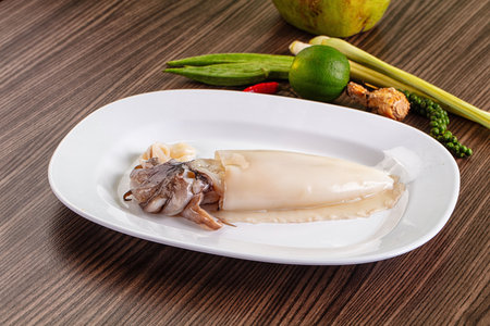 Raw cuttlefish molluck for cooking seafood