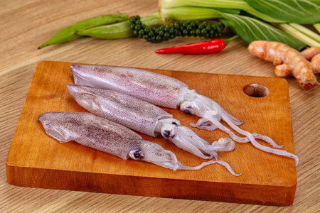Raw fresh young calamari or squid for cooking