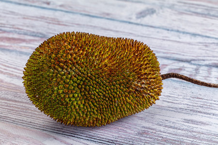 Whole tropical exotic ripe sweet jackfruit