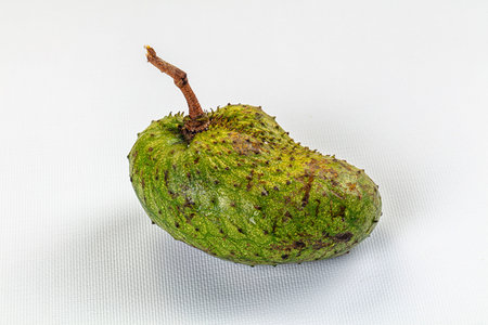 A single green soursop (guanabana) on a textured background. High-angle studio shot with clean lighting highlights the fruit's spiky skin. For health food, diet, and tropical concepts.の写真素材