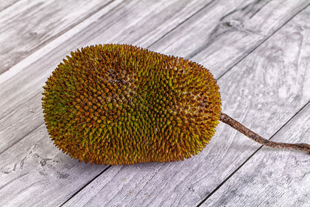 Whole tropical exotic ripe sweet jackfruitの写真素材