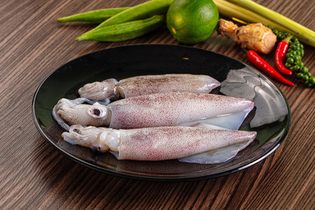 Raw wild fresh calamari for cooking