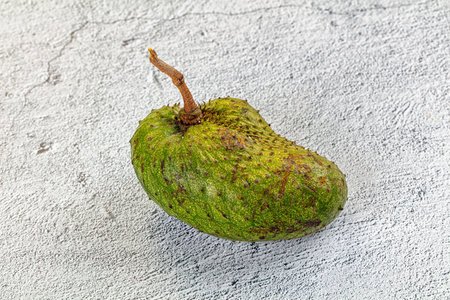 A single green soursop (guanabana) on a textured background. High-angle studio shot with clean lighting highlights the fruit's spiky skin. For health food, diet, and tropical concepts.の写真素材