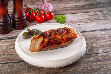 Gourmet Roasted duck breast fillet meatの写真素材