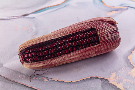 Organic natural Black ripe sweet cornの写真素材
