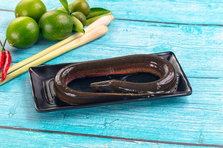 Fresh raw eel fish for cooking