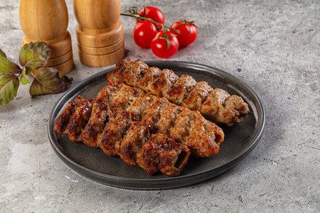 Grilled hot kebab minced meat barbecueの写真素材