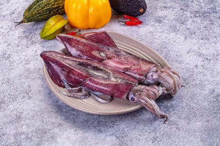 Raw squid on a plate surrounded by colorful vegetables. High-angle still life with fresh calamari,...