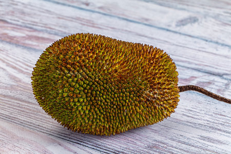 Whole tropical exotic ripe sweet jackfruit
