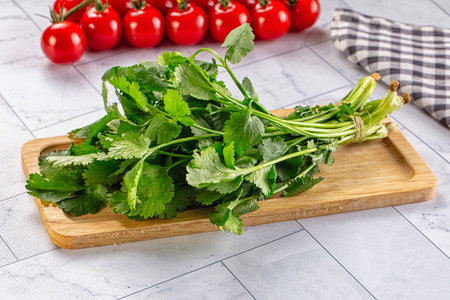 Heap of green fresh coriander stems for cooking