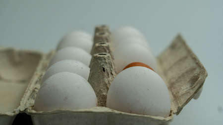 Many white eggs in the tray. One dark egg between them. Low angle shot.