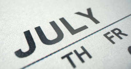 Calendar for 2021 isolated on a white background. Sunday to Monday, business template Julyの写真素材