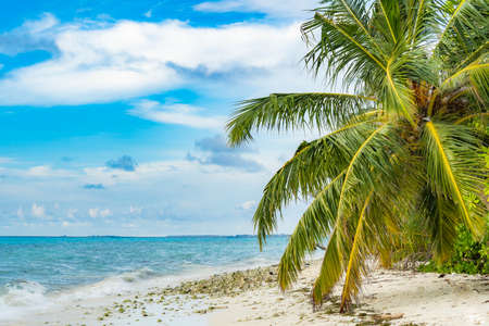 Maldives. Natural tropical Sea Beach landscape. Crystal clear sea wave and white sand beach. Relax on clean sunny Sea Beach long loopの写真素材