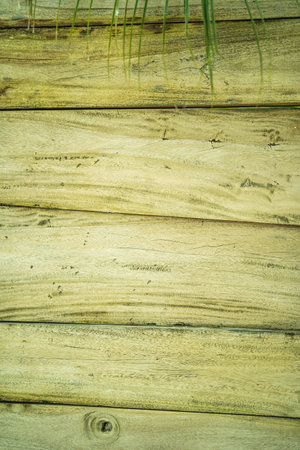 Maldives. Closeup of beige bamboo texture, pan shotの写真素材