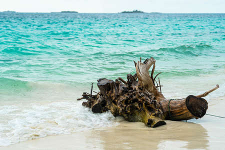 Dominican republic beaches, island beach, The best beaches in the world Beautiful palm trees on the shore of the blue sea. Atlantic Ocean, the beaches of Punta Cana. Caribbean turquoise sea waterの写真素材